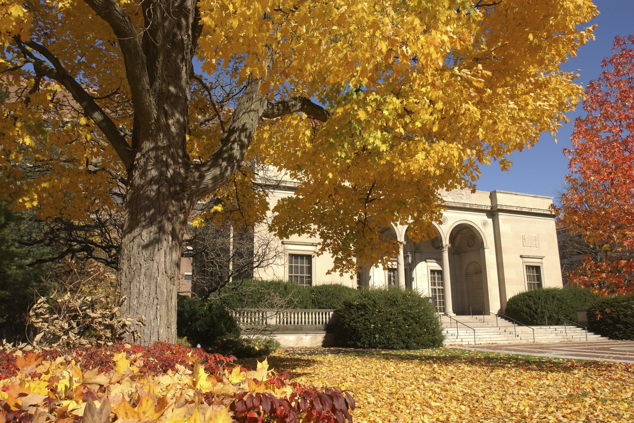 Clements Library Fall