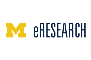 eResearch Logo