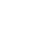 Microscope